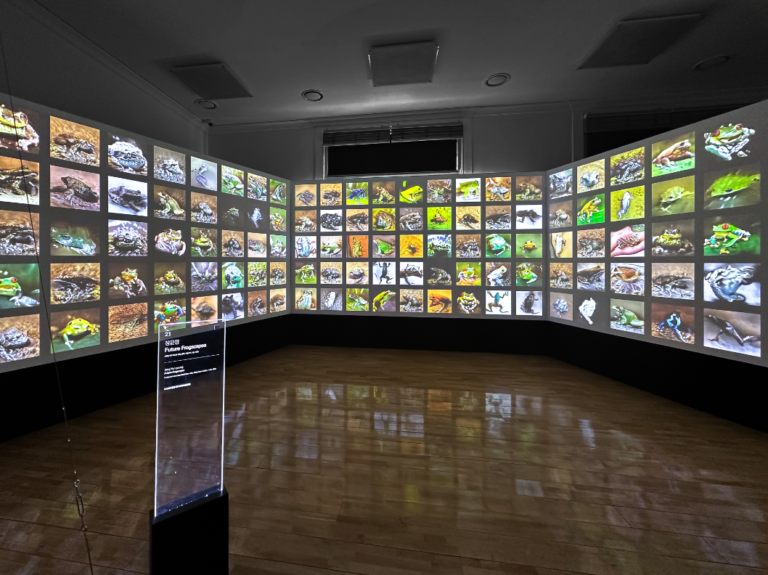 Yunyoung Jang, Future Frogscape, 3-channel AI video, Unfold X Festival, Culture Station Seoul 284, 2023, ⓒ Yunyoung Jang
