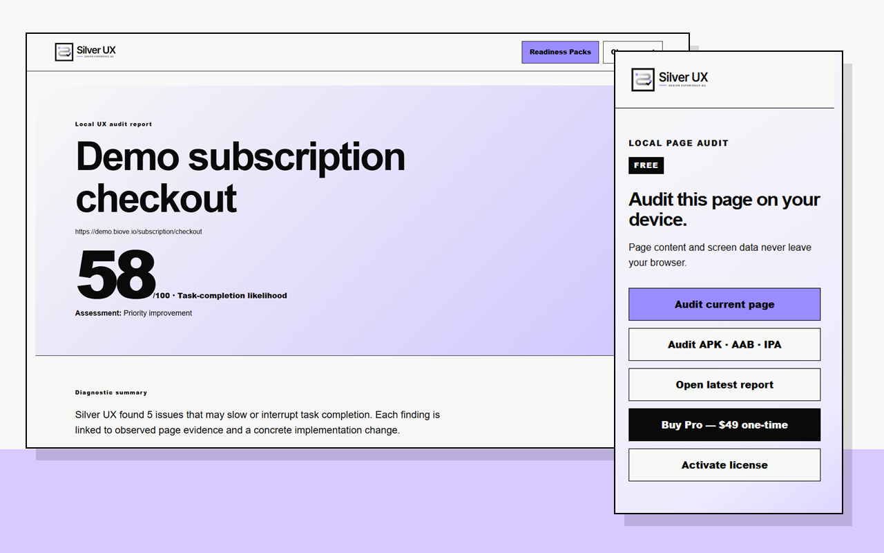 Actual Silver UX 0.6.1 workflow showing the extension, report and finding detail with synthetic test data